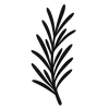 Stimulates scalp circulation with rosemary