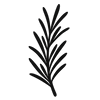 Stimulates scalp circulation with rosemary